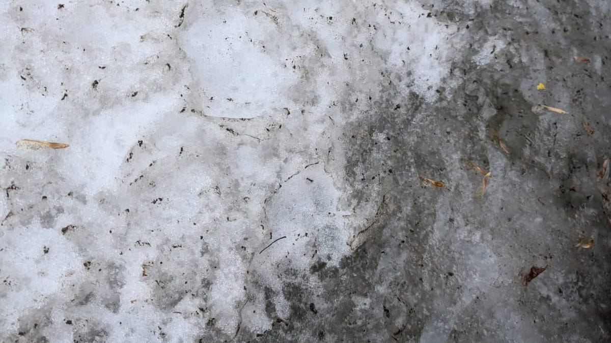 Disgusting, wrecked up and dirty snow